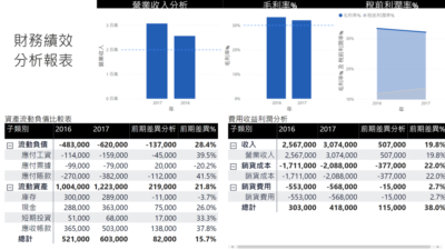 財務績效分析報表