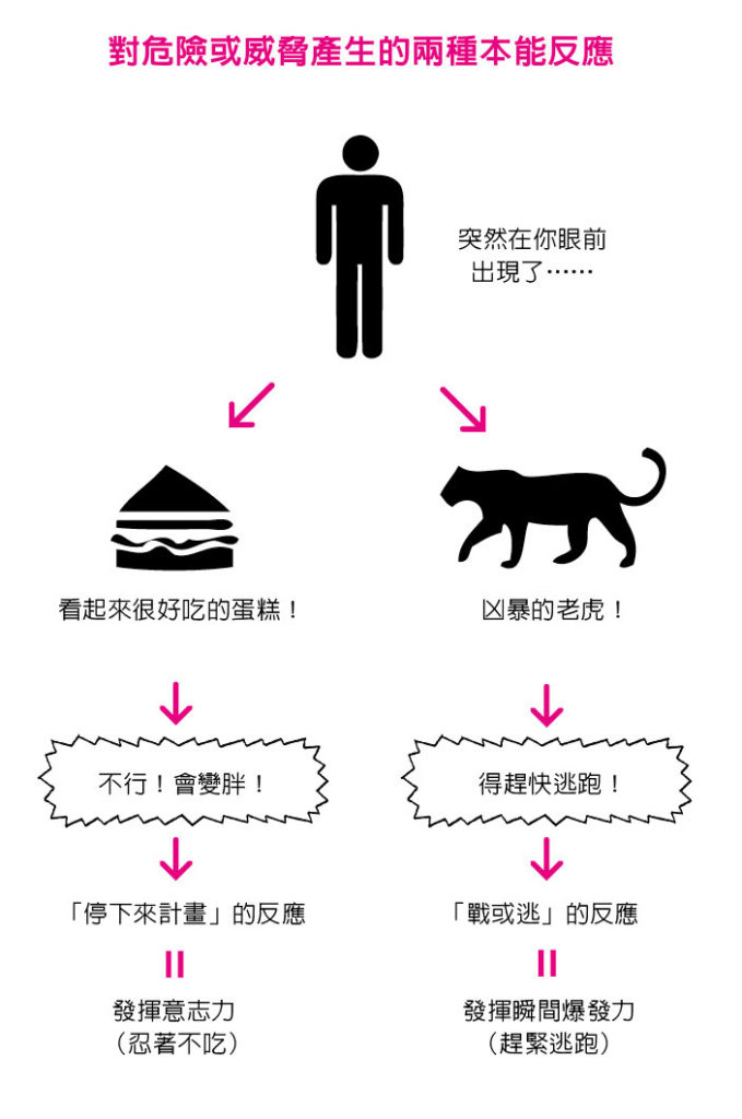 對危險或威脅產生的兩種本能反應