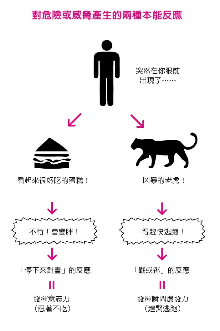 對危險或威脅產生的兩種本能反應