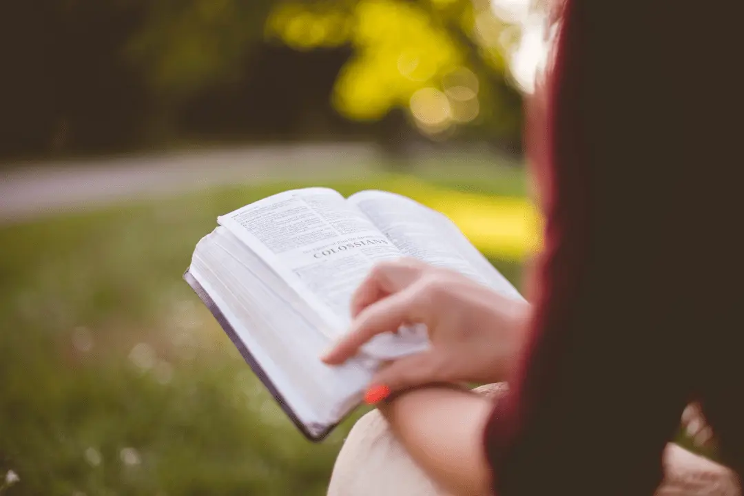 該看的書,該學的知識那麼多,卻看不完、學不夠、不會應用?學會思考力的 4 種閱讀方法