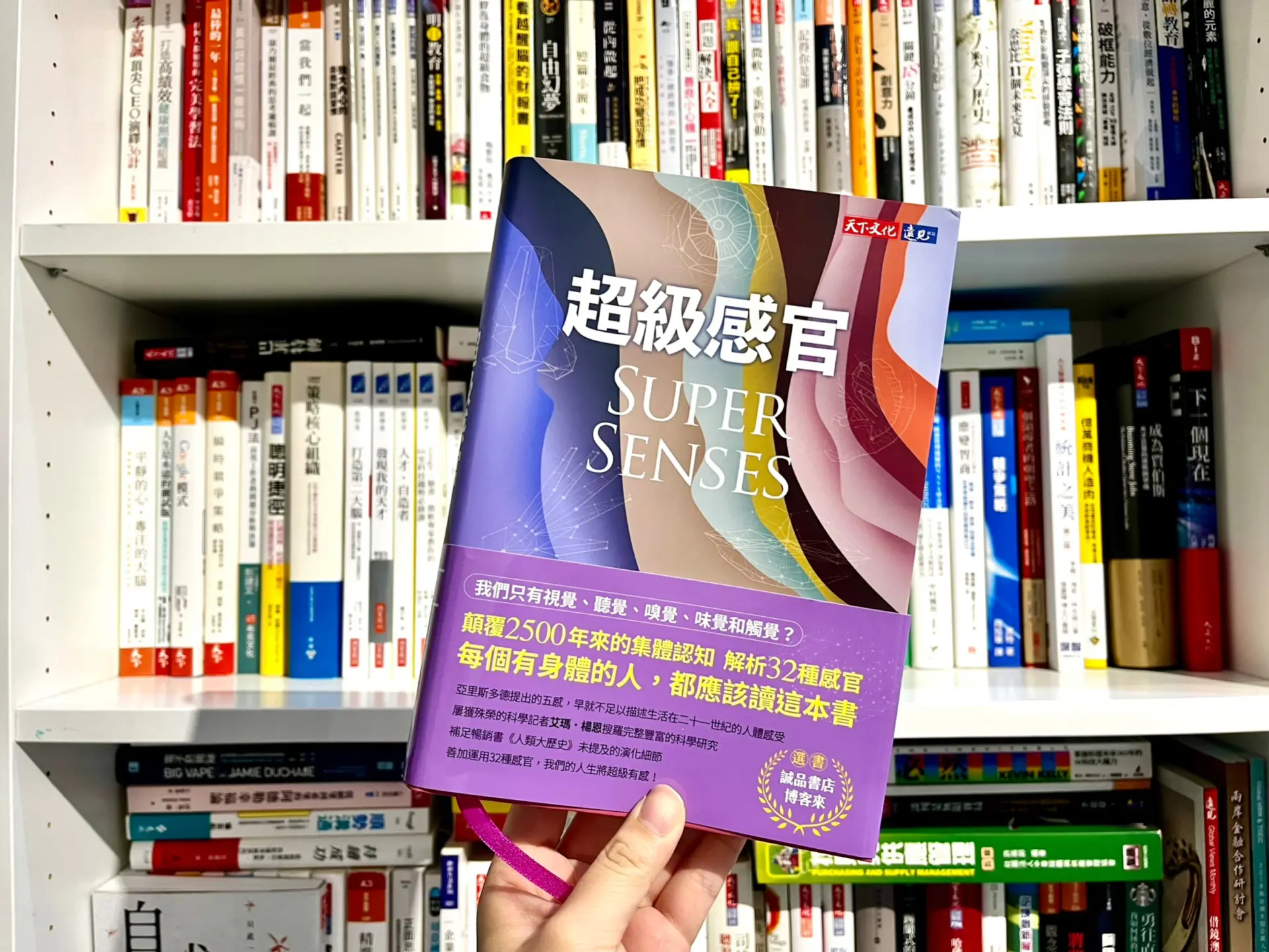 人類感官其實不只5種？顛覆2500年來的集體認知